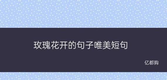 表达爱意的暖心唯美短句（让真情传递更远）