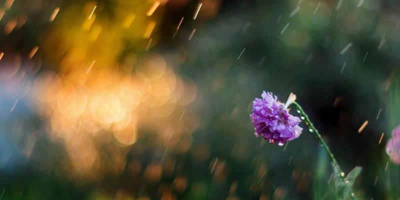 缱绻落雨，唯美意境（雨中世界）