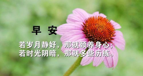用唯美短句为你打开新的一天（用唯美短句为你打开新的一天）