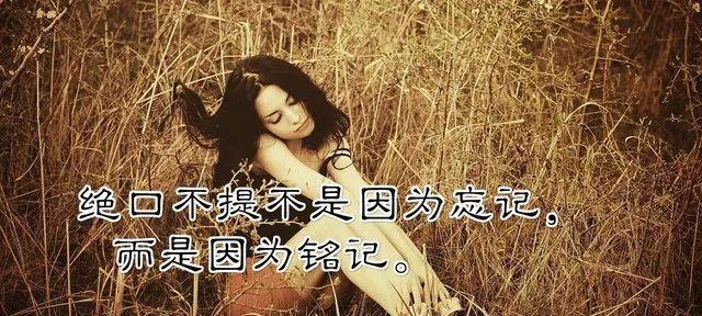 「追寻唯美」——寻找生活感悟的美好