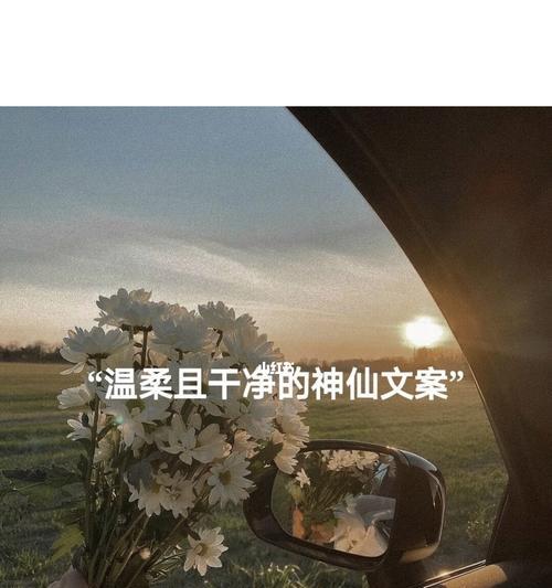 《超级温柔的神仙》——一个充满着神秘与美好的故事