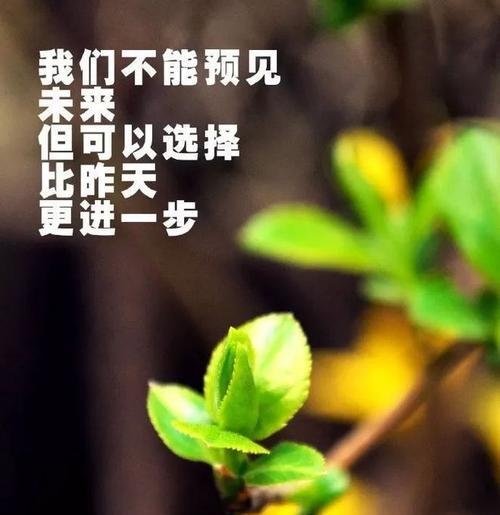 寻找唯美的正能量（探索生命中的美好）