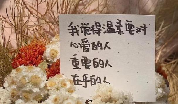 超级温柔的生活