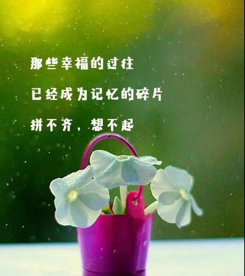 唯美之城（温暖阳光下的花语）