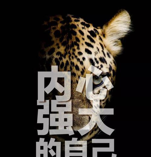心灵之美（以句句走心的正能量唯美句子）