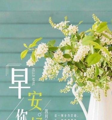 清晨的美好与温馨（清晨的美好与温馨）