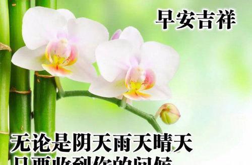温暖一天的精神食粮（温暖一天的精神食粮）