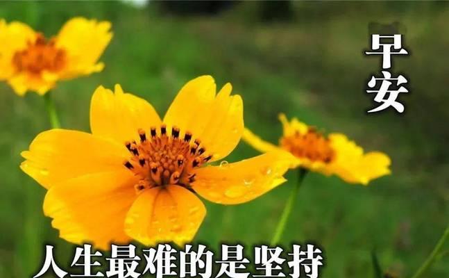苏醒之时，万物唯美（苏醒之时）