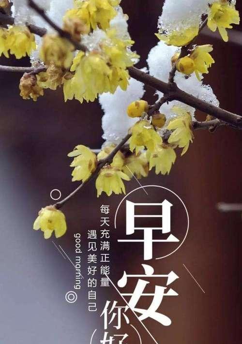 早晨美好，暖心话语给你关爱（用唯美短句唤醒你的美好心情）