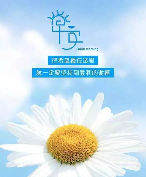 在晨光中寻找温暖（在晨光中寻找温暖）