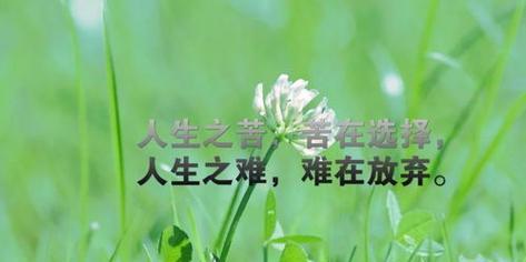 唯美短句让你重新认识早晨（唯美短句让你重新认识早晨）