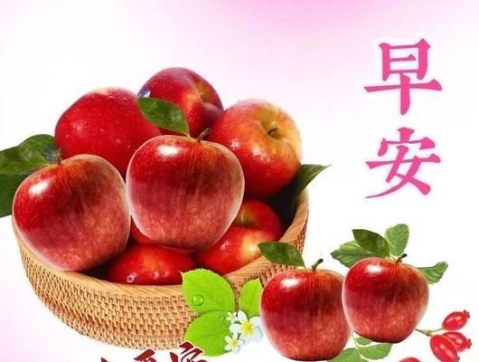 祝福圣诞，愿幸福永驻（25个短句）