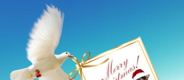 2024圣诞节祝福语唯美好句——送给最美好的你