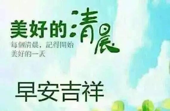 《清晨花开，心情美好》（2024微信朋友圈正能量早安心语）