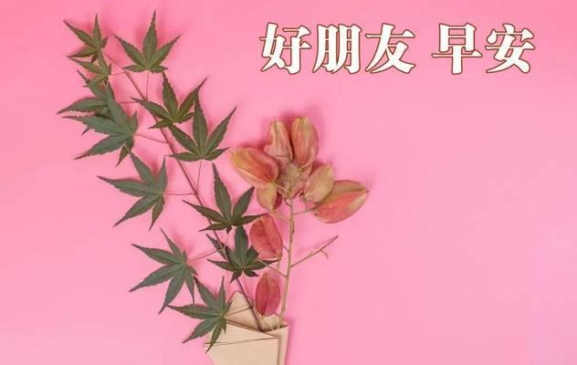唯美短句,传递温暖(唯美短句) 唯美短句,传递温暖(唯美短句)