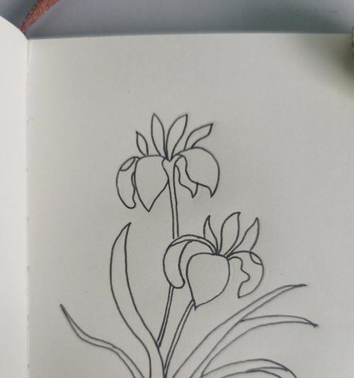 画一幅兰花（《在父亲节，兰花的绘画与父爱的传承》）