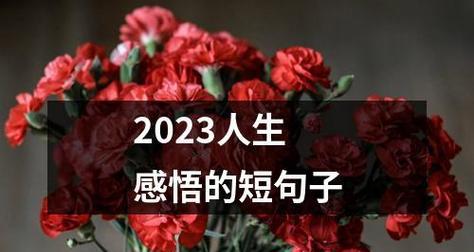 2024，爱情幸福的年代（那些让人心动的瞬间）