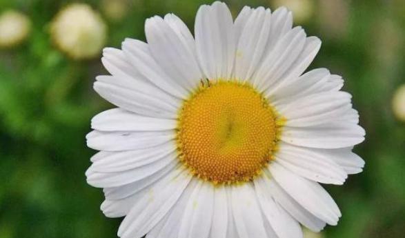 爱在岁末，芬芳绽放（11月的最后一天）