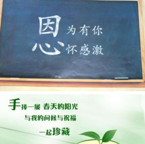 用心感恩，收获幸福（用心感恩）