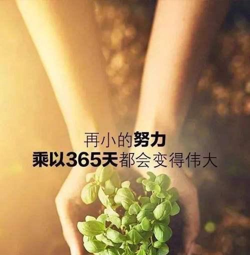 工作中的正能量（以工作为乐）