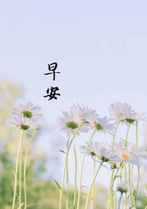 清晨吐槽，幽默一日游（醒来一笑）