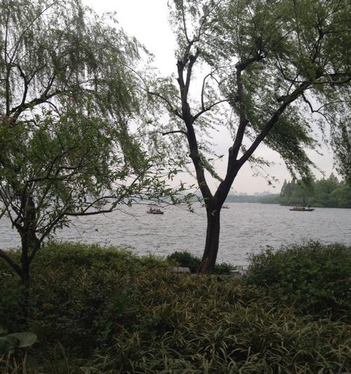 感受秋日朦胧美景（感受秋日朦胧美景）