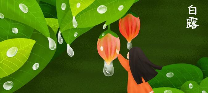 白露怎么写（《晨露之约》）