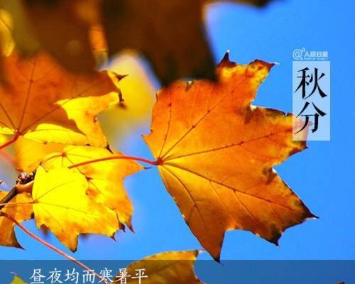 以秋分微信祝福为主题的唯美短句（邂逅秋分）