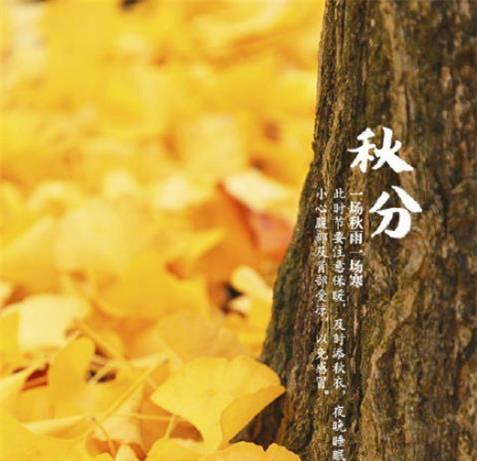 优雅的秋分，充满诗情画意（优雅的秋分）
