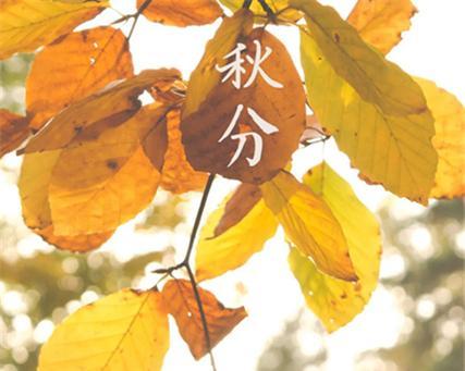 秋分，心情晴好（用唯美短语）