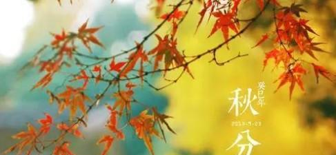 秋分节气，惬意的季节（走进金色的秋天）