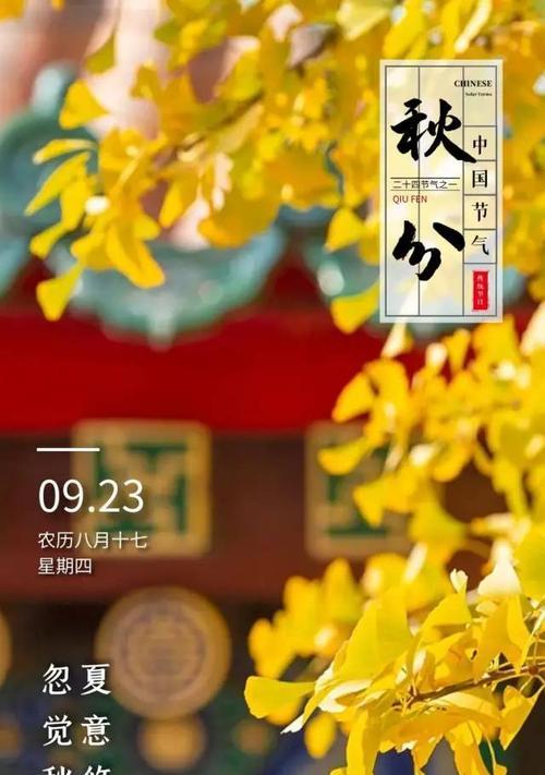 秋分-点缀生活的美好（感受丰收的喜悦）